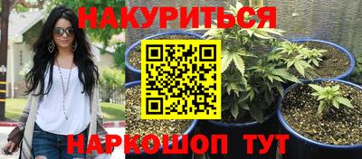 прущие грибы Пушкино