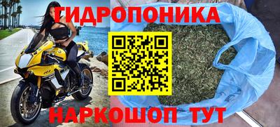 МДПВ Будённовск