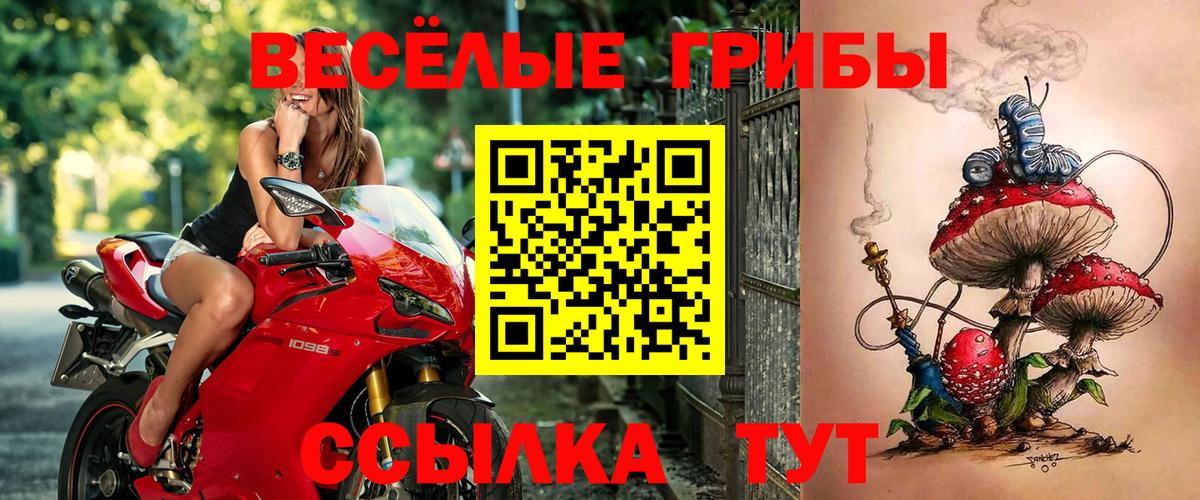 Псилоцибиновые грибы мицелий  Вход с VPN  Сургут 